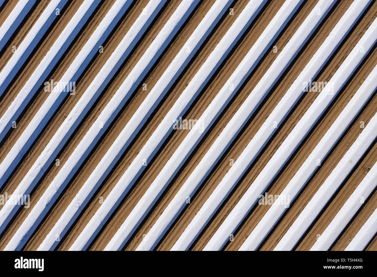 Allemagne, Hesse, vue aérienne du champ d'asperges avec avion blanc Banque D'Images