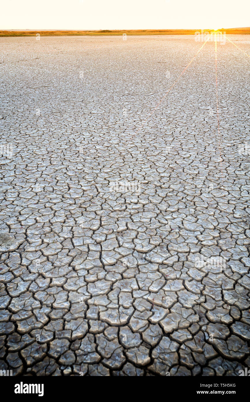 L'Espagne, Reserva Natural de Lagunas de Villafafila séché, fond du lac au lever du soleil Banque D'Images