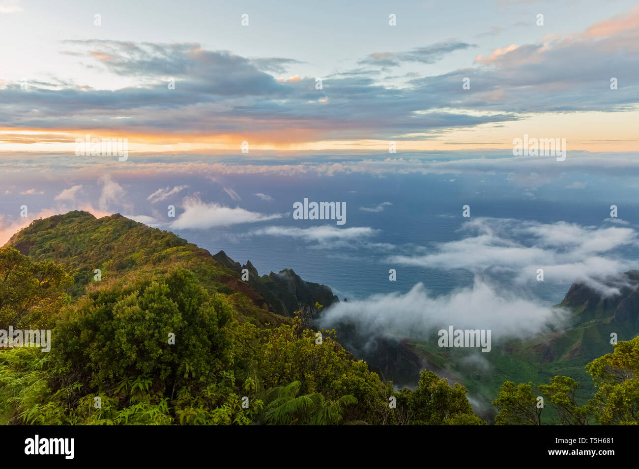 USA, Hawaii, Koke'e State Park, le Koke'e State Park, vue de Kalalau Valley Banque D'Images