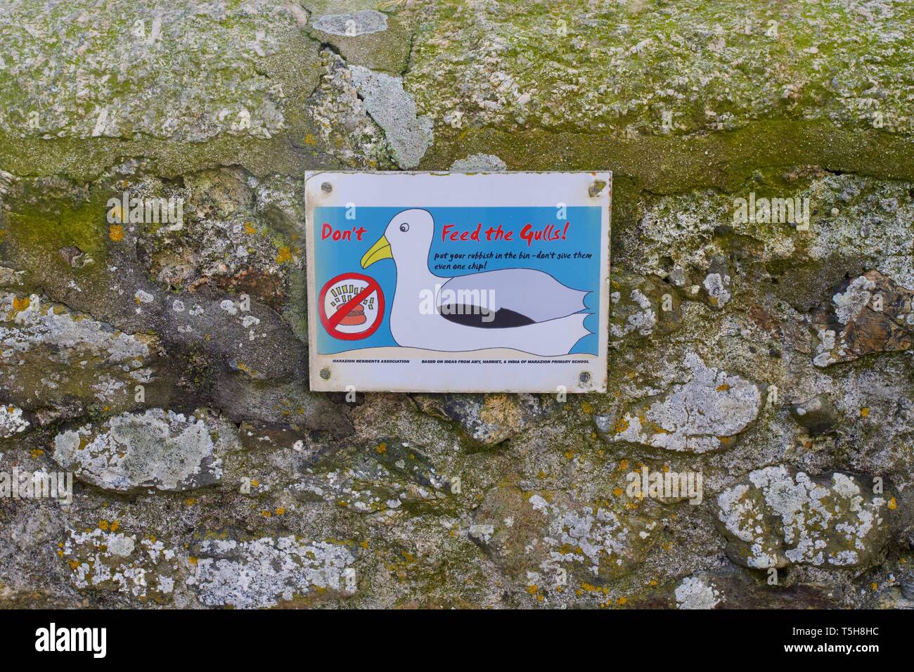 'Ne pas nourrir les goélands" signe, Marazion, Cornwall, Angleterre Banque D'Images