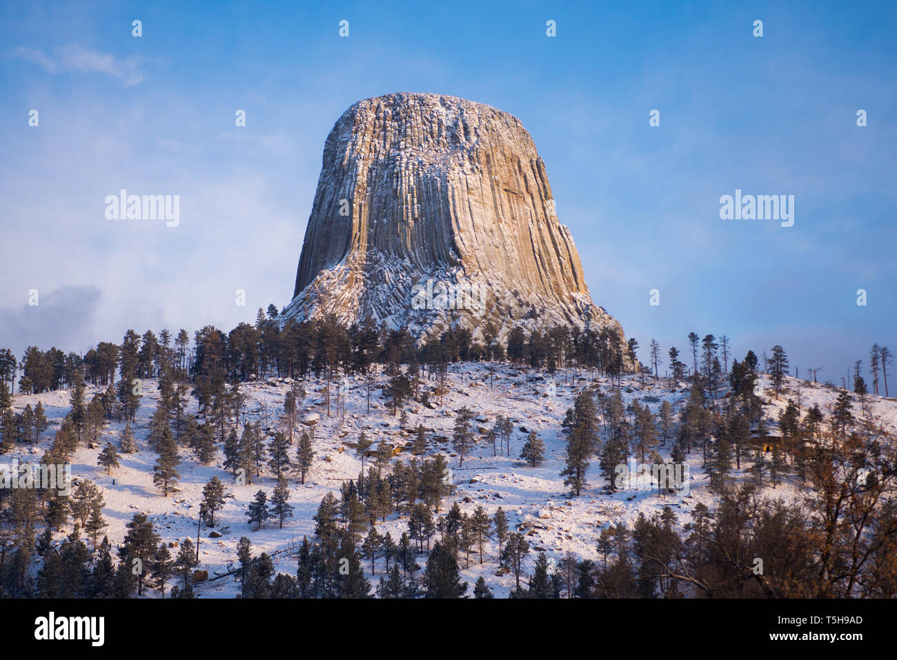 Devil's Tower en hiver, Wyoming Banque D'Images