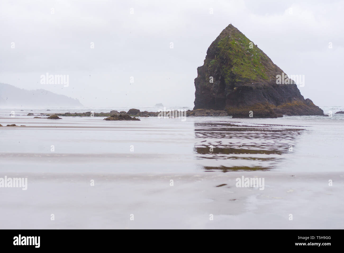 Cannon Beach, Oregon Banque D'Images