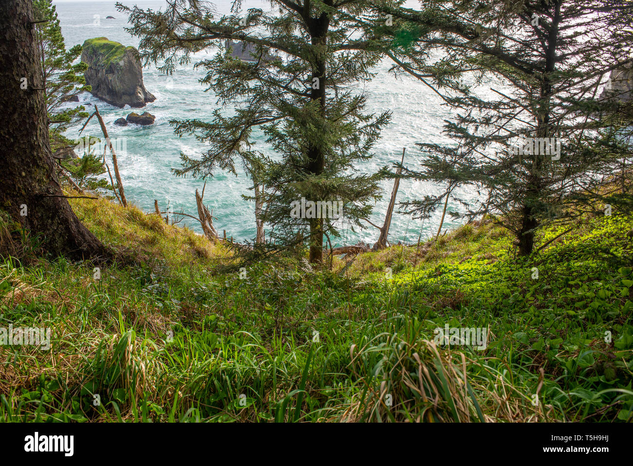 Belle Côte de l'Oregon Banque D'Images