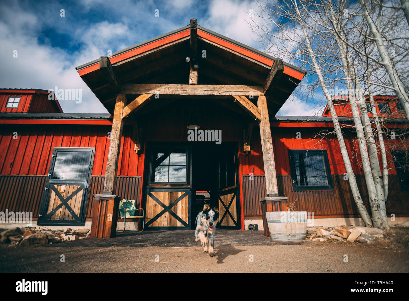 Chien dans une grange rouge Banque D'Images