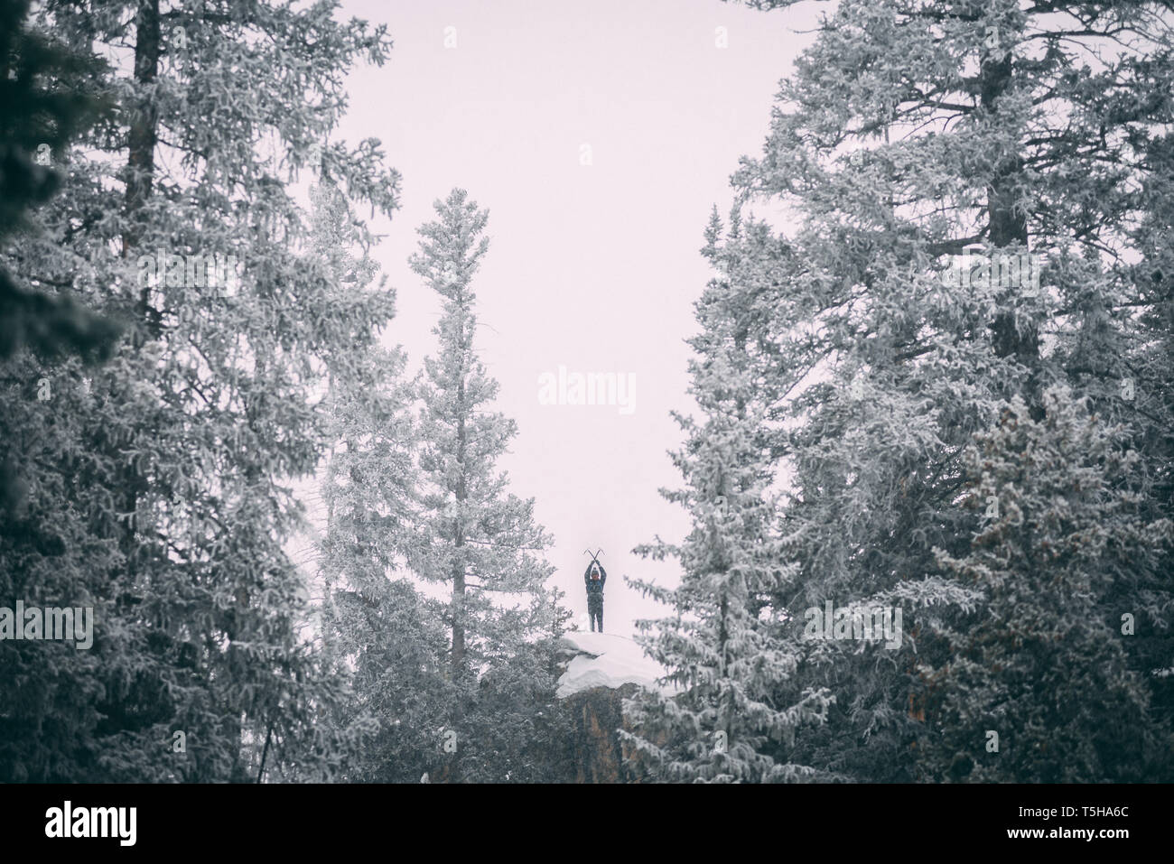Randonnées d'hiver au Colorado Banque D'Images