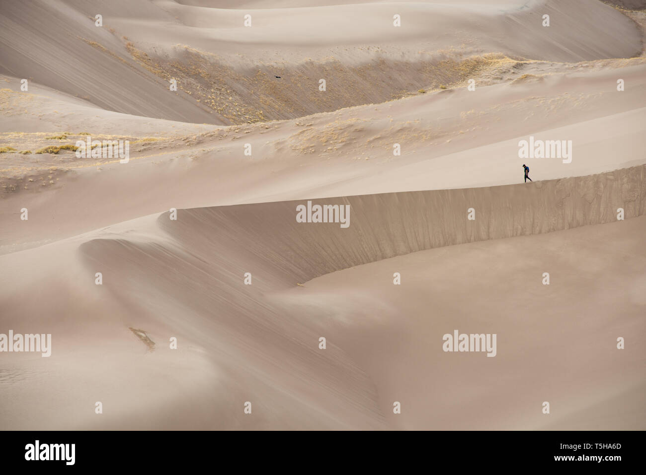 Petit homme randonnée sur les dunes de sable Banque D'Images