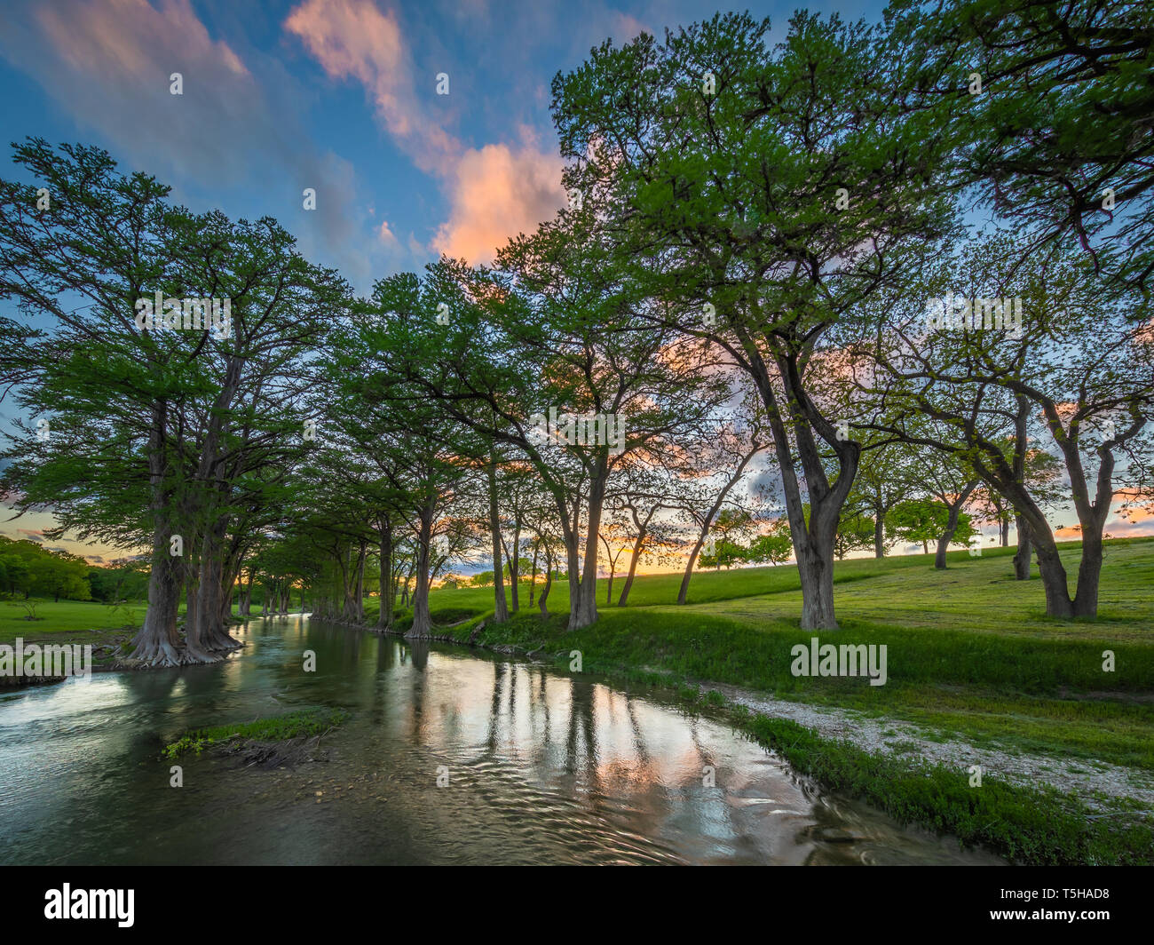 La Guadalupe River s'étend de Kerr County, Texas, pour la baie de San Antonio sur le golfe du Mexique. Banque D'Images