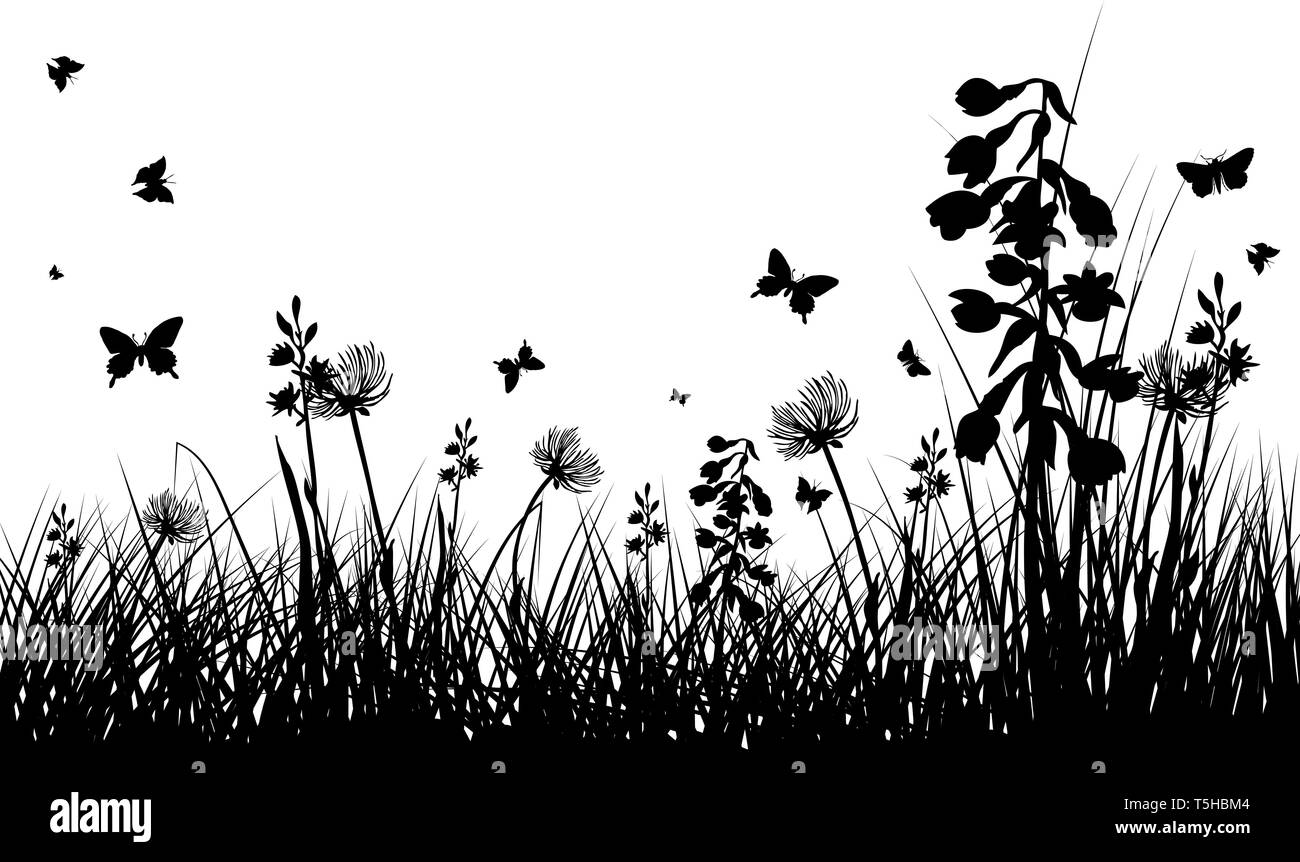 Summer Meadow Background avec les papillons. Vector Illustration. Illustration de Vecteur