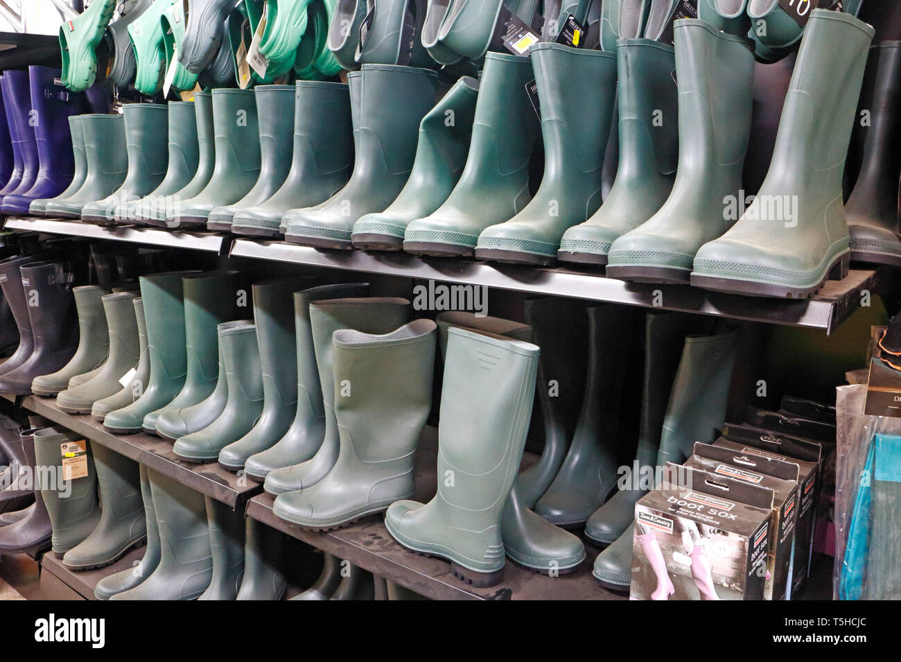 Rangées de bottes à vendre dans un centre jardin. Banque D'Images