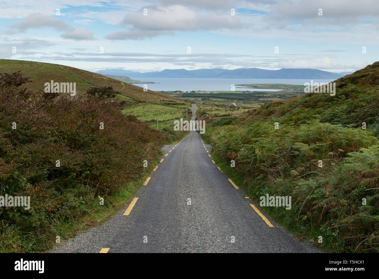 Landstraße in der Grafschaft Kerry, Irlande. / Route de comté, dans le comté de Kerry avec l'Inveragh péninsule dans la distance, de l'Irlande. Banque D'Images
