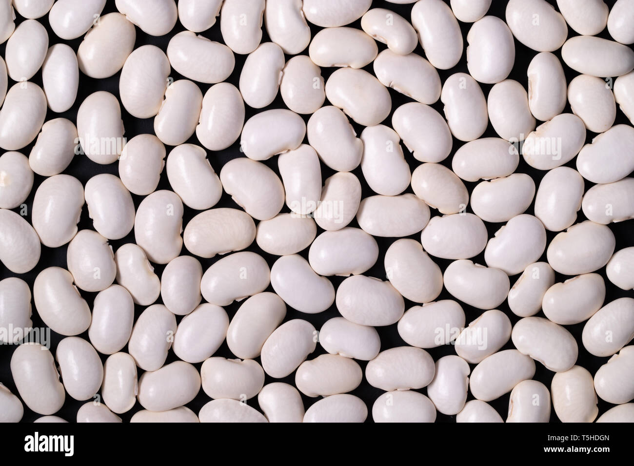 Les haricots blancs sur fond noir Banque D'Images