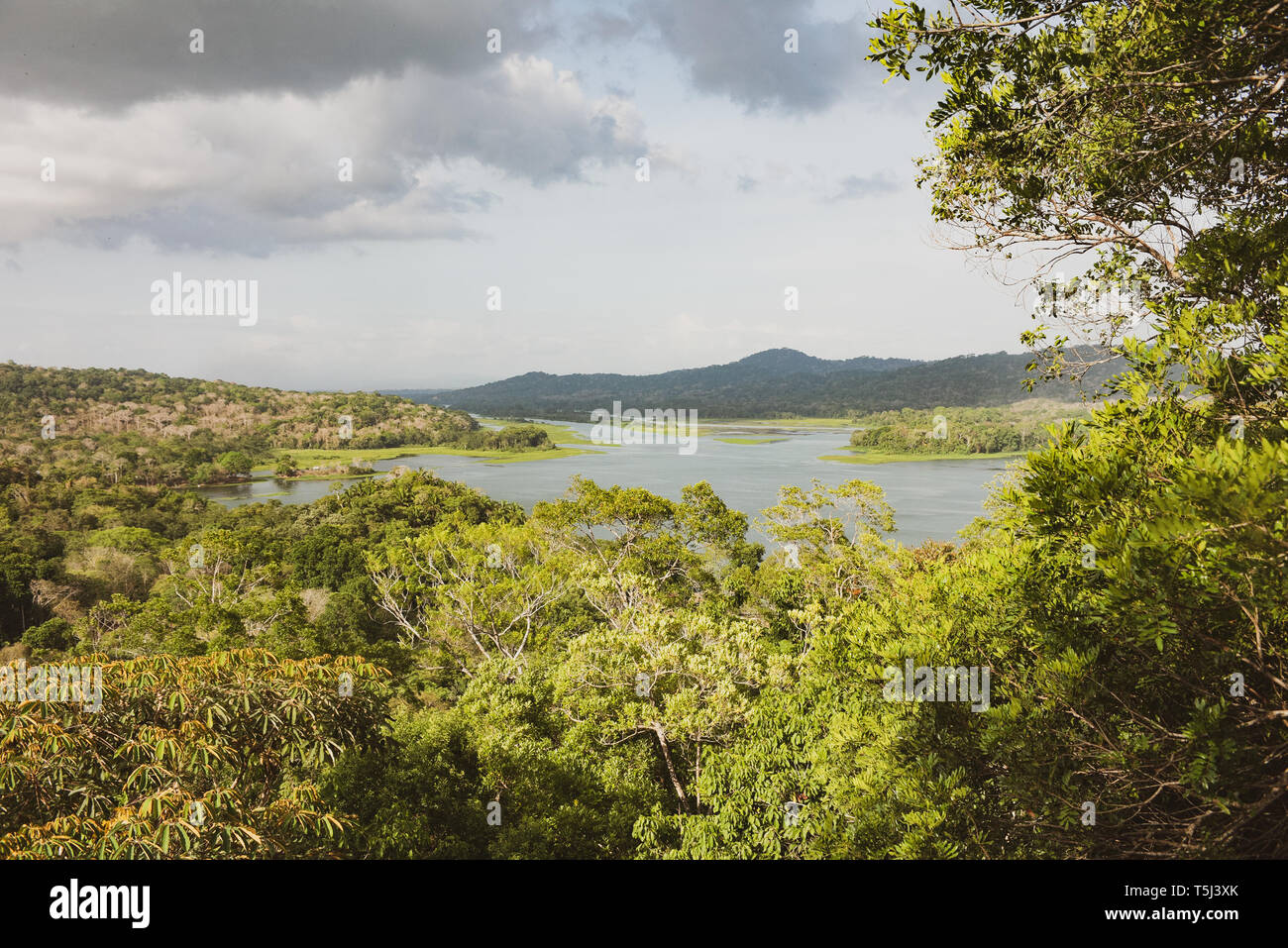 Gamboa Aerial Tram Tour Banque D'Images