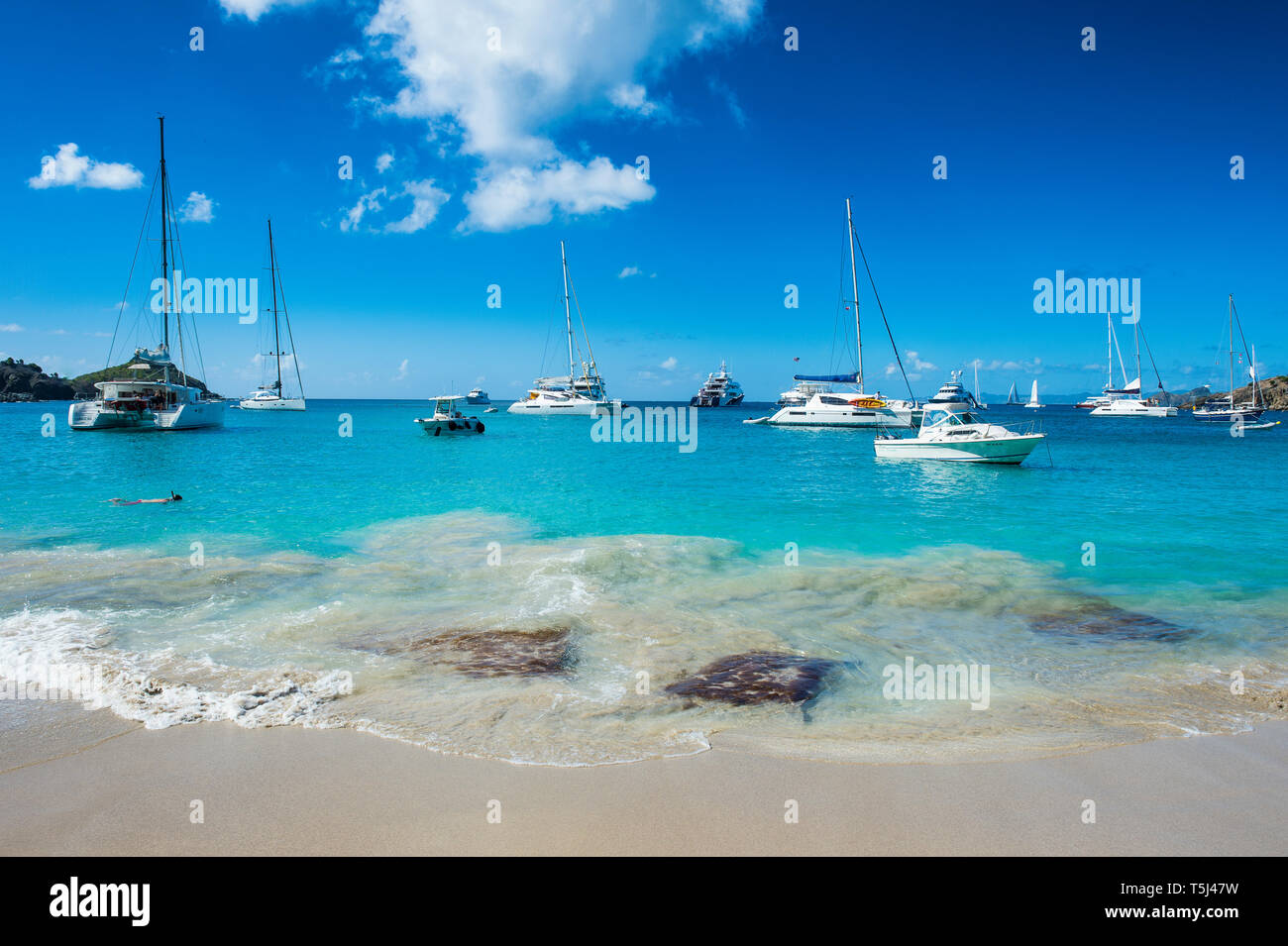 Caraïbes, Petites Antilles, Saint Barthelemy, Gustavia, yachts de luxe Banque D'Images