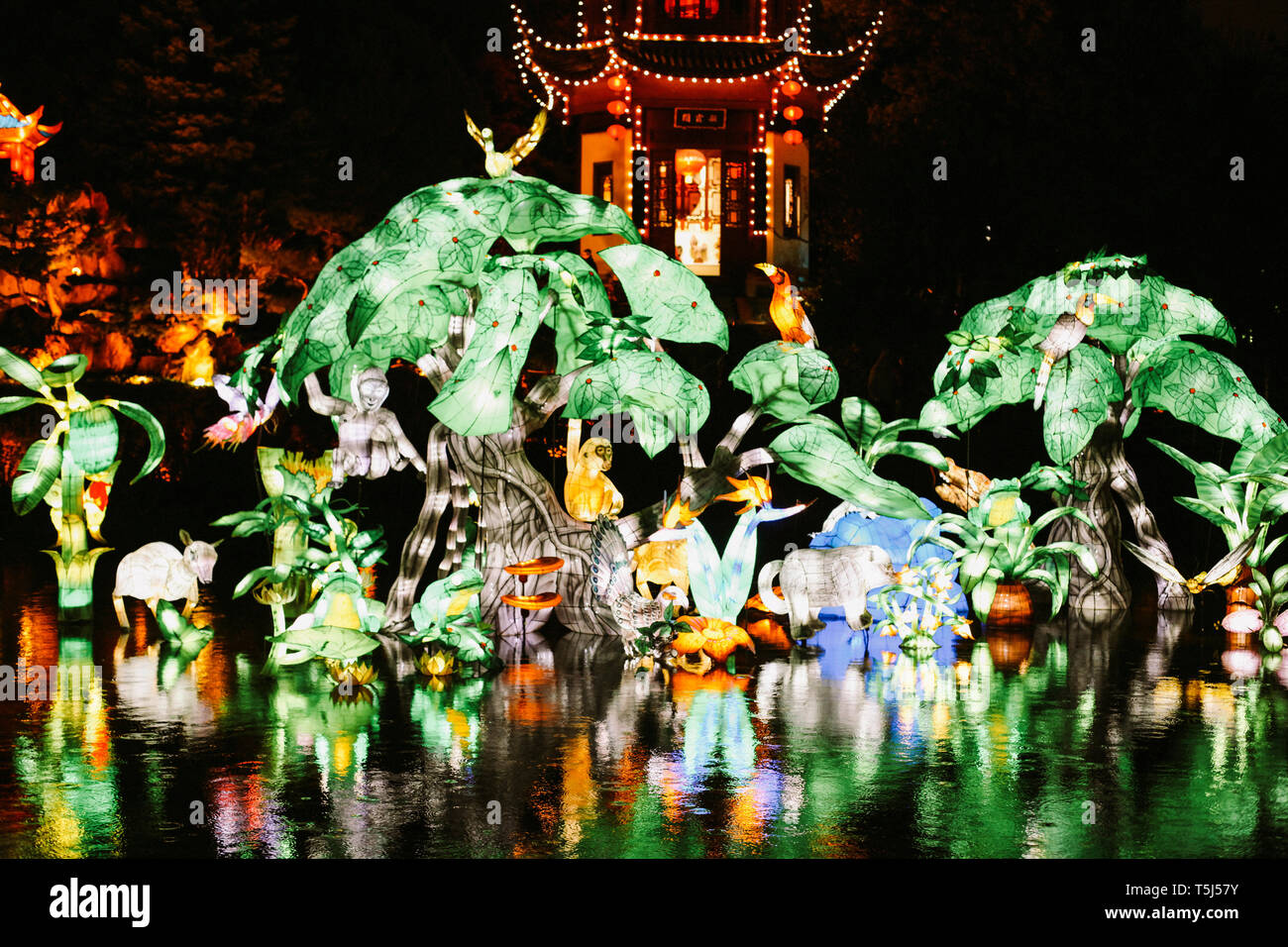 Jardins de lumière, festival de lanternes chinoises au Jardin botanique de  Montréal. Montréal, Québec Photo Stock - Alamy