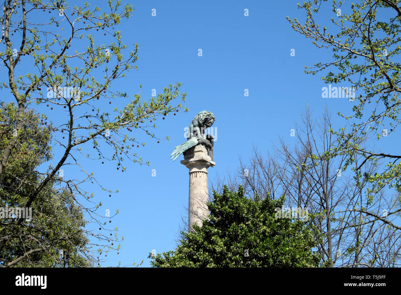 Rotunda da Boavista monument de la Praça de Mouzinho de Albuquerque célèbre rond-point victoire portugaise sur la france en guerre péninsulaire KATHY DEWITT Banque D'Images