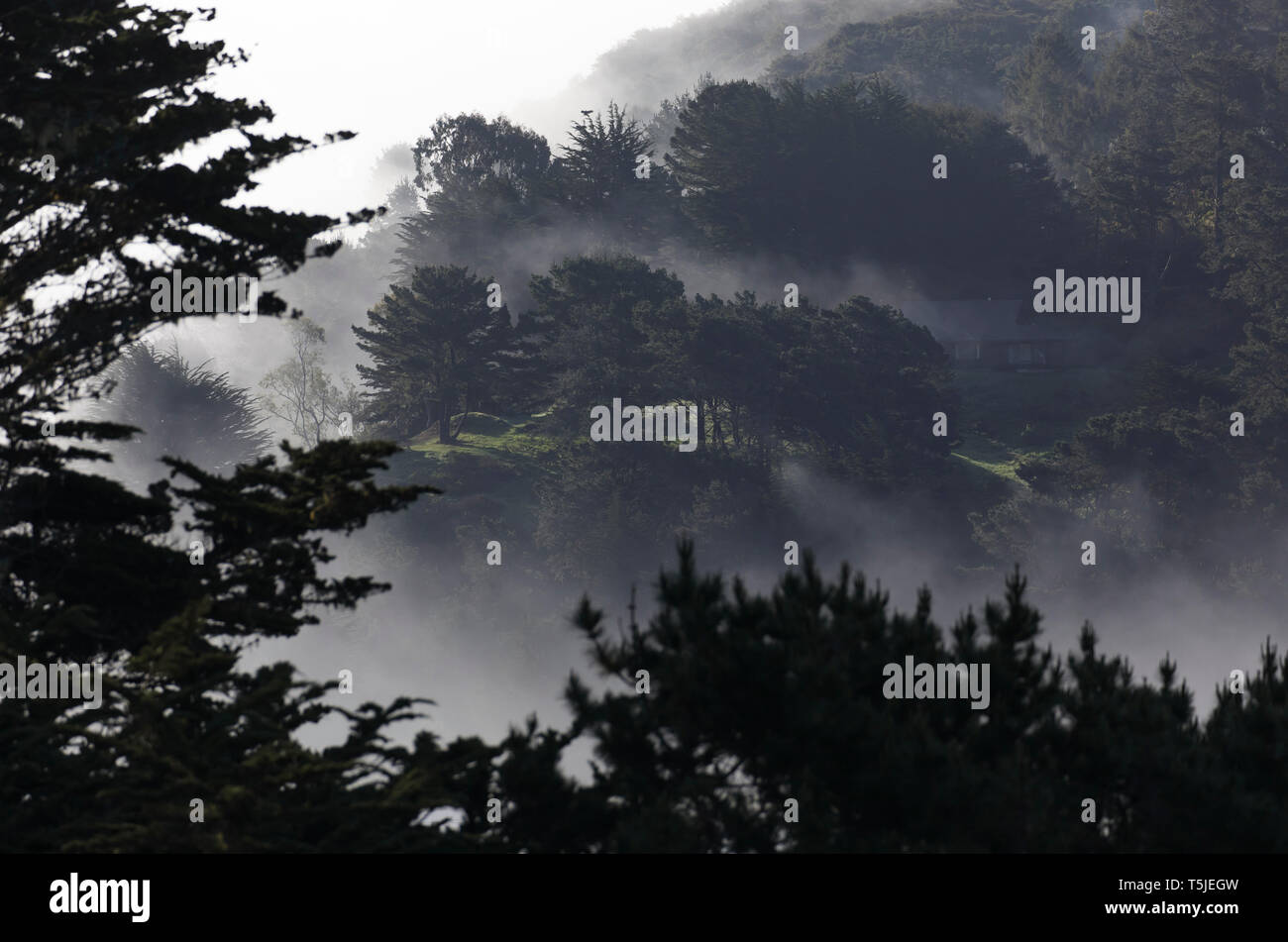 Le matin, le brouillard efface le long des coteaux au-dessus de Jenner, en Californie, le long des rives de la rivière russe sur la Californie Sonoma Coast. Photo par Matt M Banque D'Images