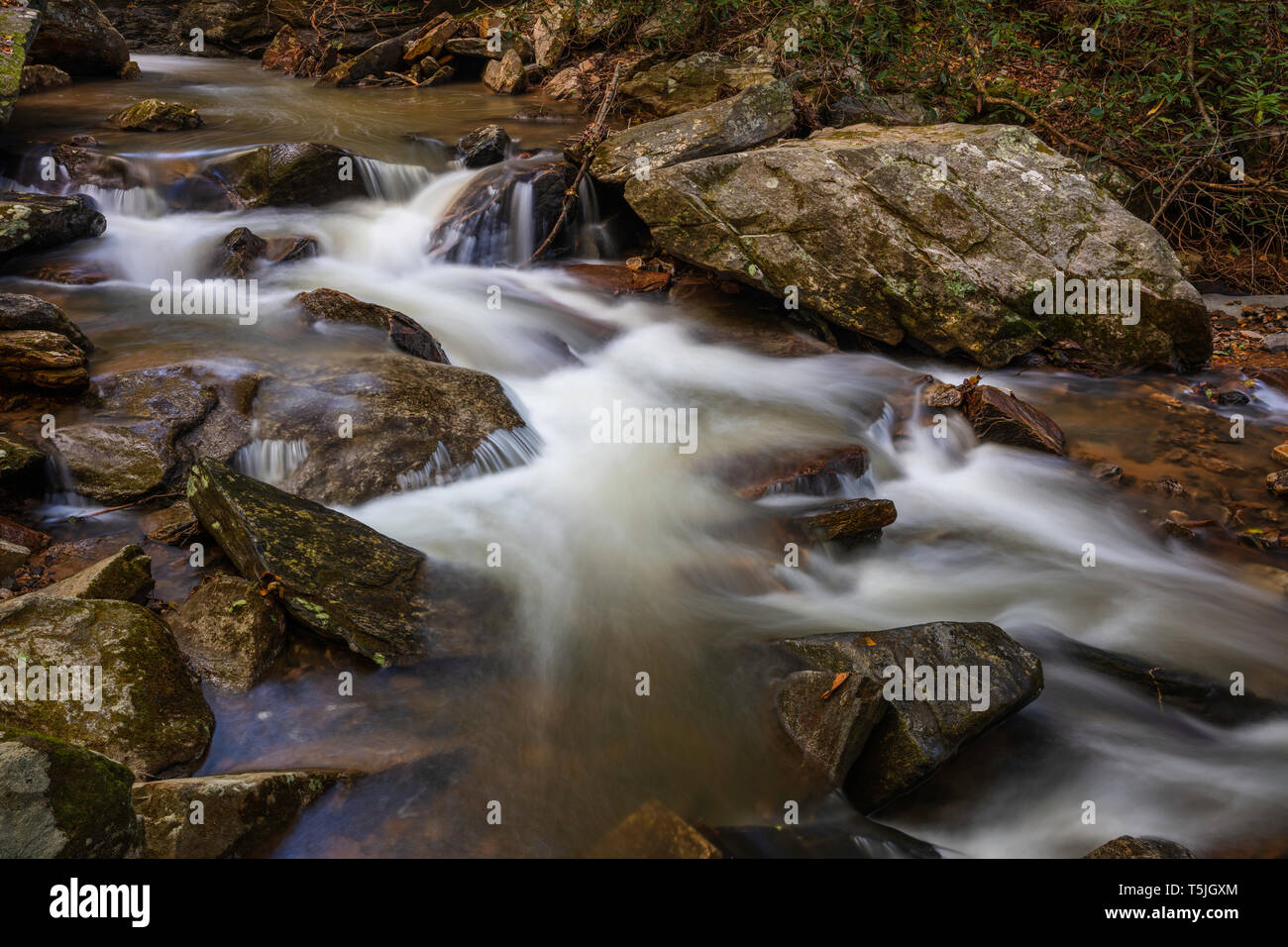 Colt Creek, Blue Ridge Mountains, Saluda, Polk County, Caroline du Nord. Banque D'Images