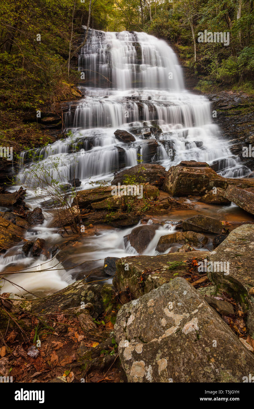 Pearson's Falls, Blue Ridge Mountains, Saluda, Polk County, Caroline du Nord. Banque D'Images