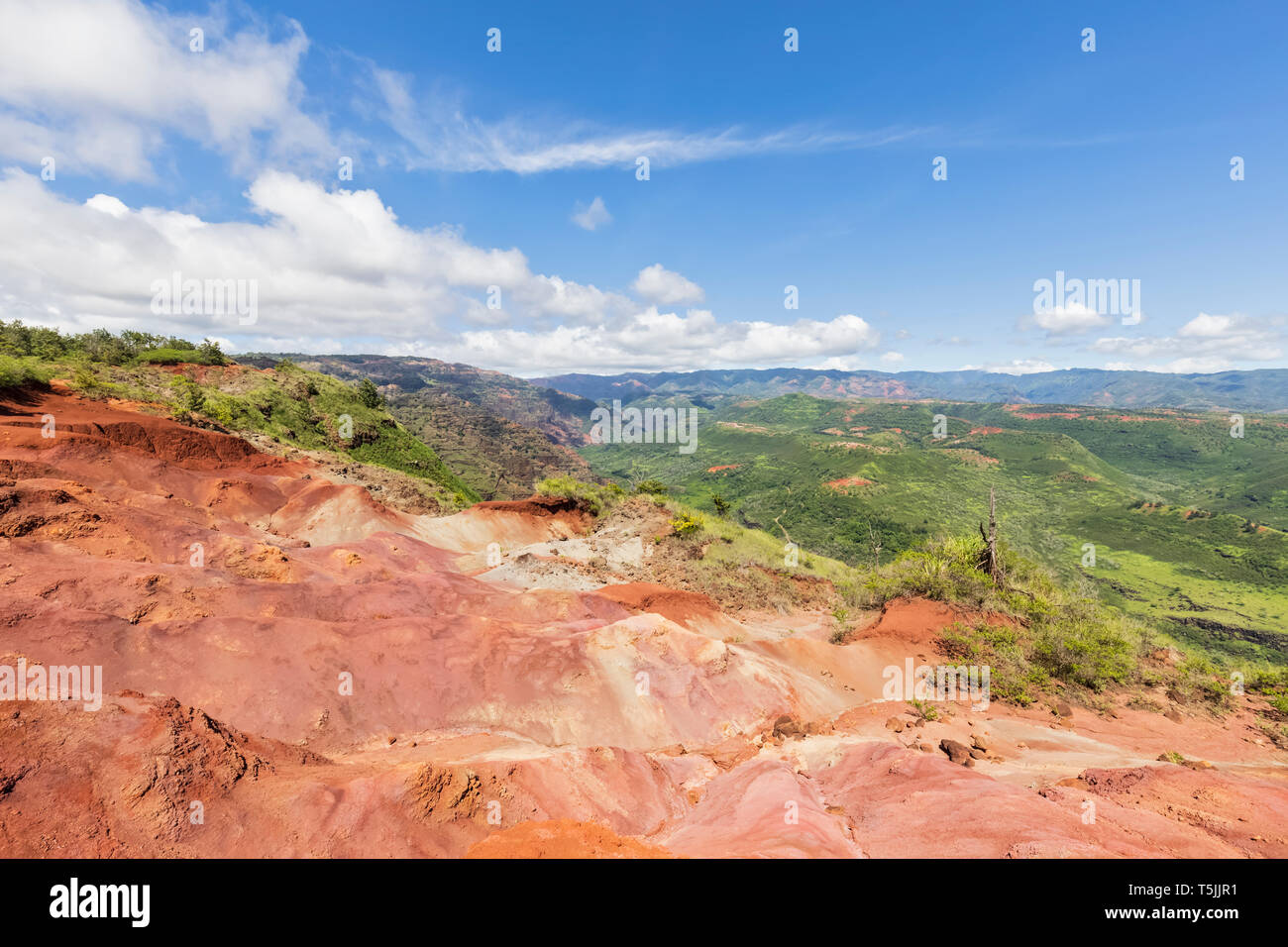 USA, Hawaii, Kaua'i, Waimea Canyon State Park, vue de Waimea Canyon de Waimea, fossé, Castle Mokihana Valley, érosions Banque D'Images