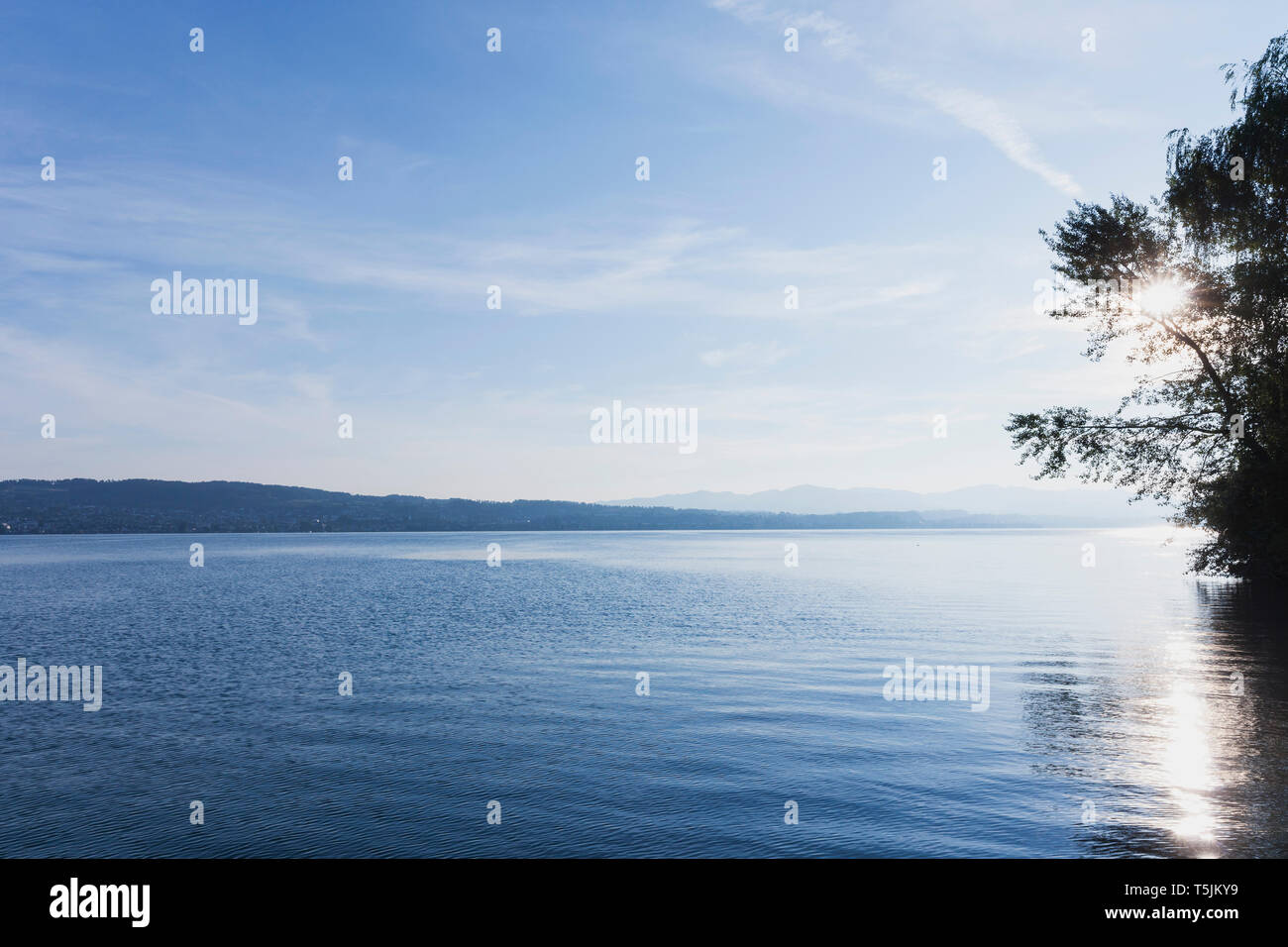 La Suisse, le Canton de Zurich, le lac de Zurich, région Richterswil, vue vers Raperswil Banque D'Images