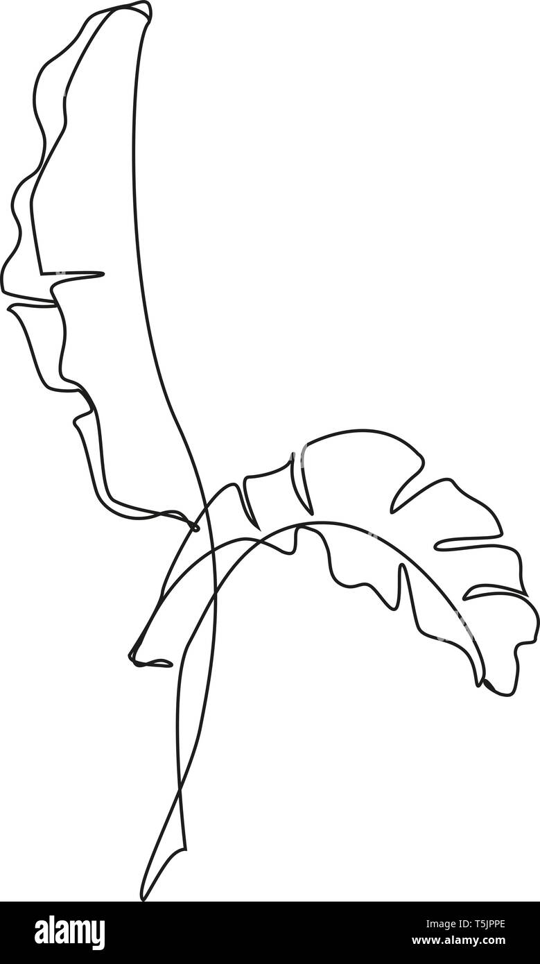 Une ligne de dessin. Dessin de contour des feuilles de bananier Illustration de Vecteur
