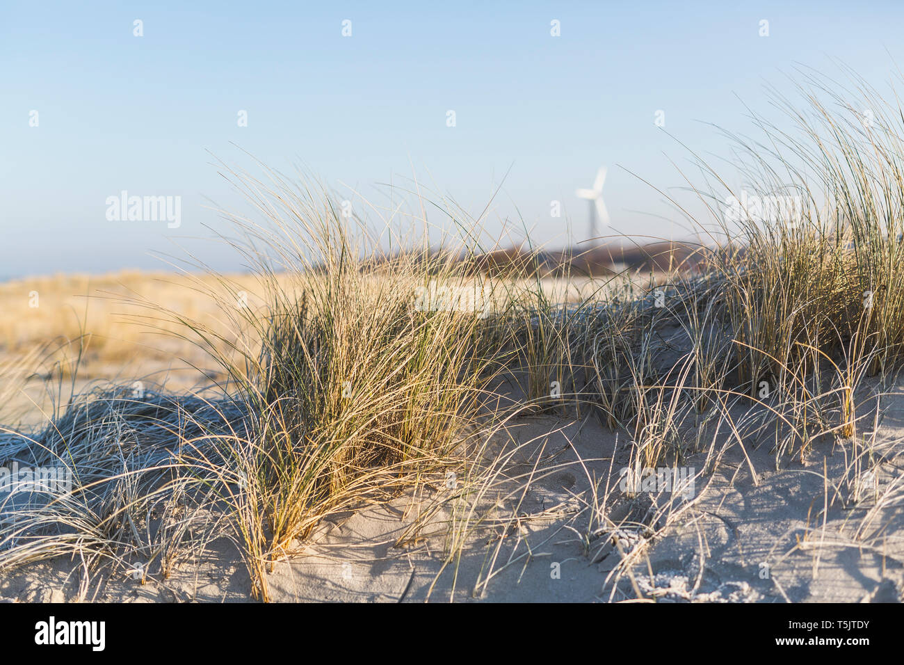 Ostsee, hiver, Fischland, Wustrow, Strand, Morgen Banque D'Images