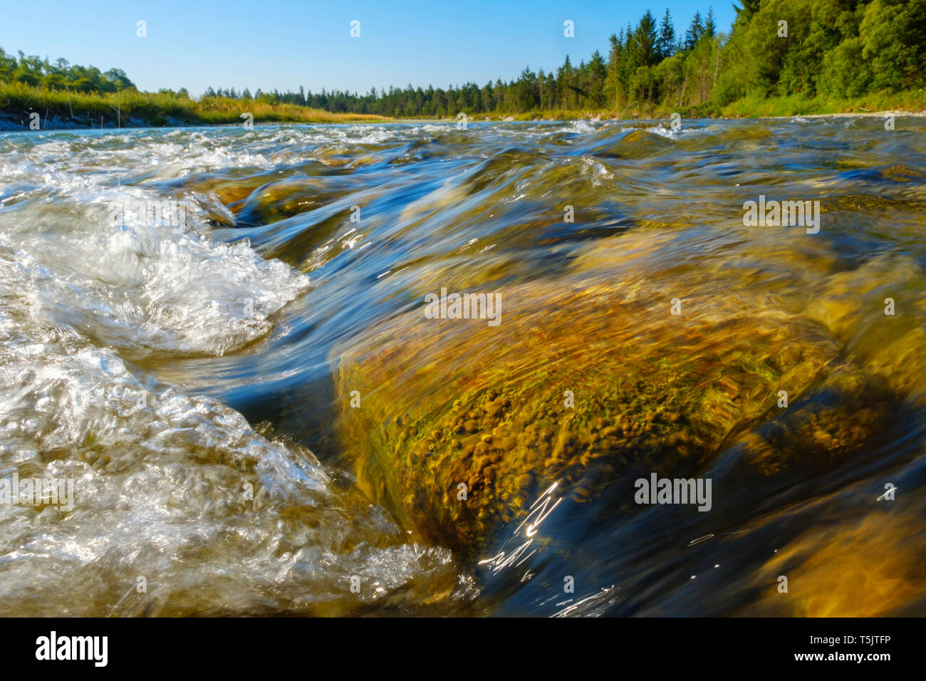 Germany, Bavaria, réserve naturelle Isarauen, streaming l'eau claire de l'Isar Banque D'Images