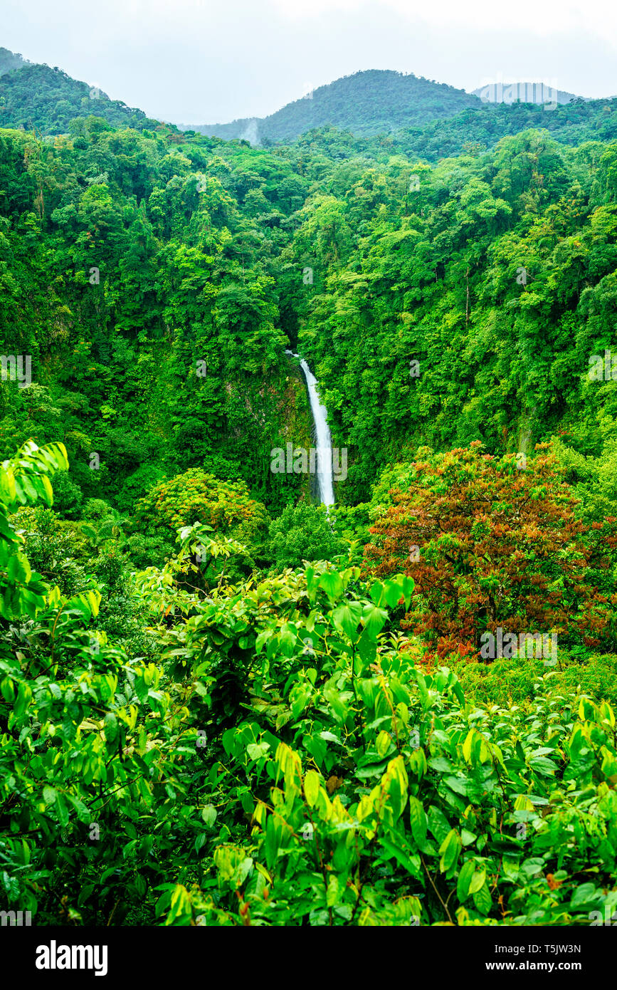 Costa Rica, Jungle paysage avec la chute d'eau La Fortuna Banque D'Images
