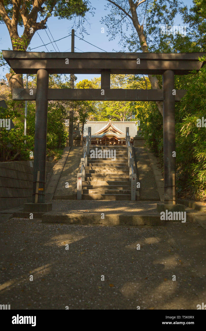 Torii est placé avant dernières étapes menant au sanctuaire du terrain pendant le Maginu culte, Kawasaki, préfecture de Kanagawa, au Japon. Banque D'Images