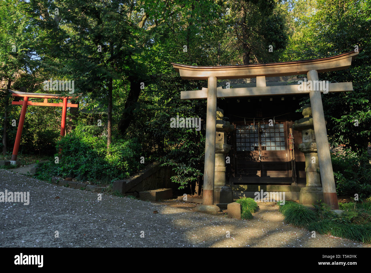 Deux petits annexe avec Tori Gate à l'avant situé à côté d'un bâtiment principal à Maginu culte, Kawasaki, Japon. Banque D'Images