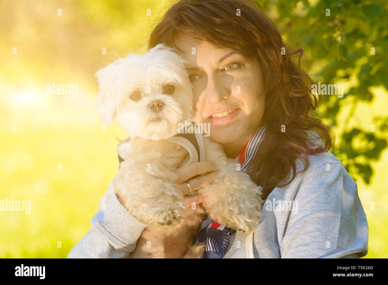 Mignon chien heureux Malese dans les mains de son propriétaire à l'extérieur Banque D'Images