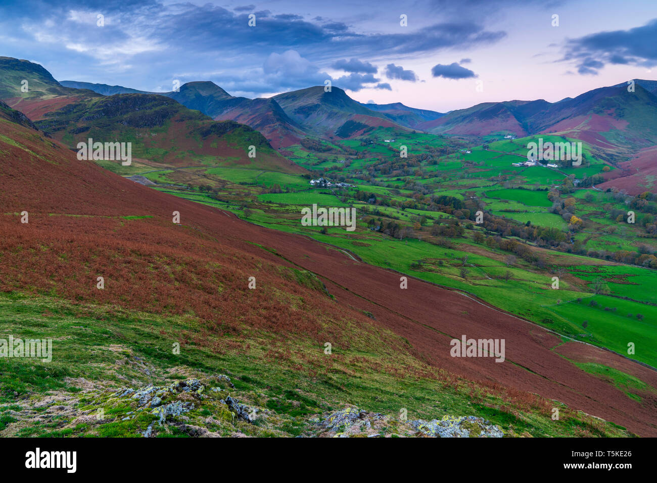 Cat Bells vu de Skelgill Bank, Keswick, Parc National de Lake District, Cumbria, Angleterre, Royaume-Uni, Europe. Banque D'Images