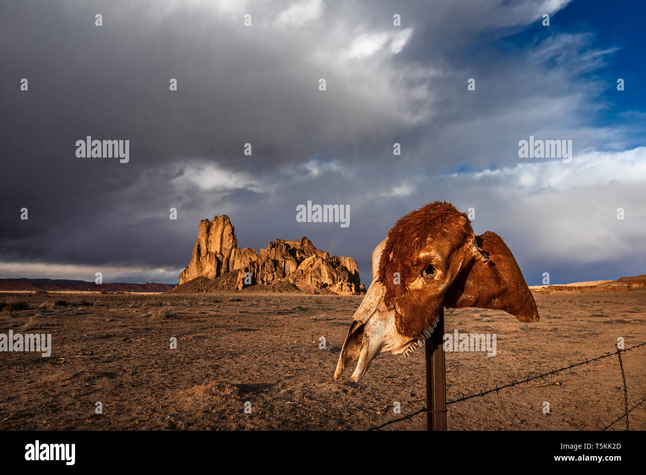 Monument Valley, Arizona désert paysage avec un crâne Banque D'Images
