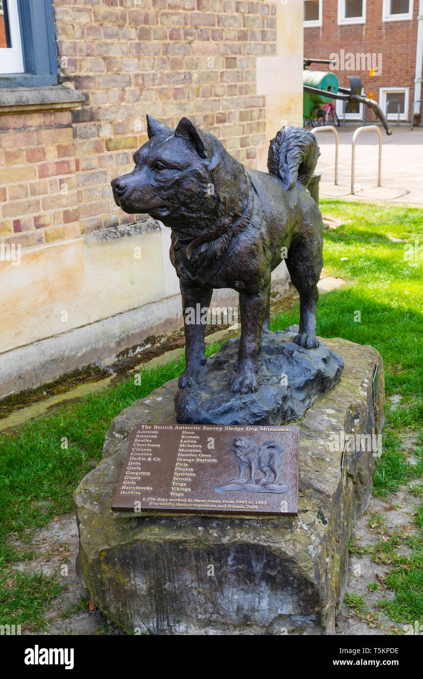 Monument à les chiens de traîneau de l'antarctique Scott enquête au Scott Polar Research Institute, Hills Road, ville universitaire de Cambridge, Cambridge Banque D'Images