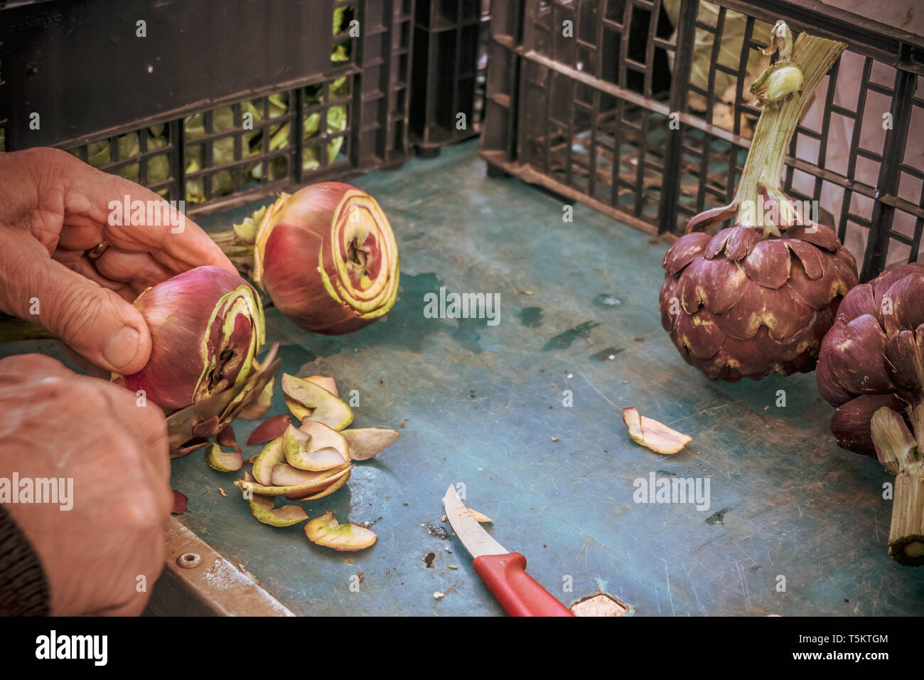 L'espace de travail sur l'étal du marché, agriculteur âgé des mains d'artichaut coupe préparation des aliments crus Banque D'Images