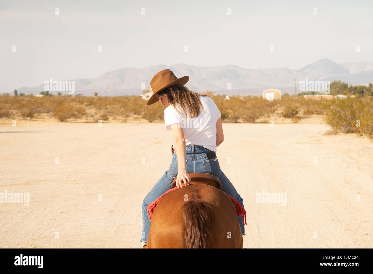 Woman Riding Horse Banque D'Images