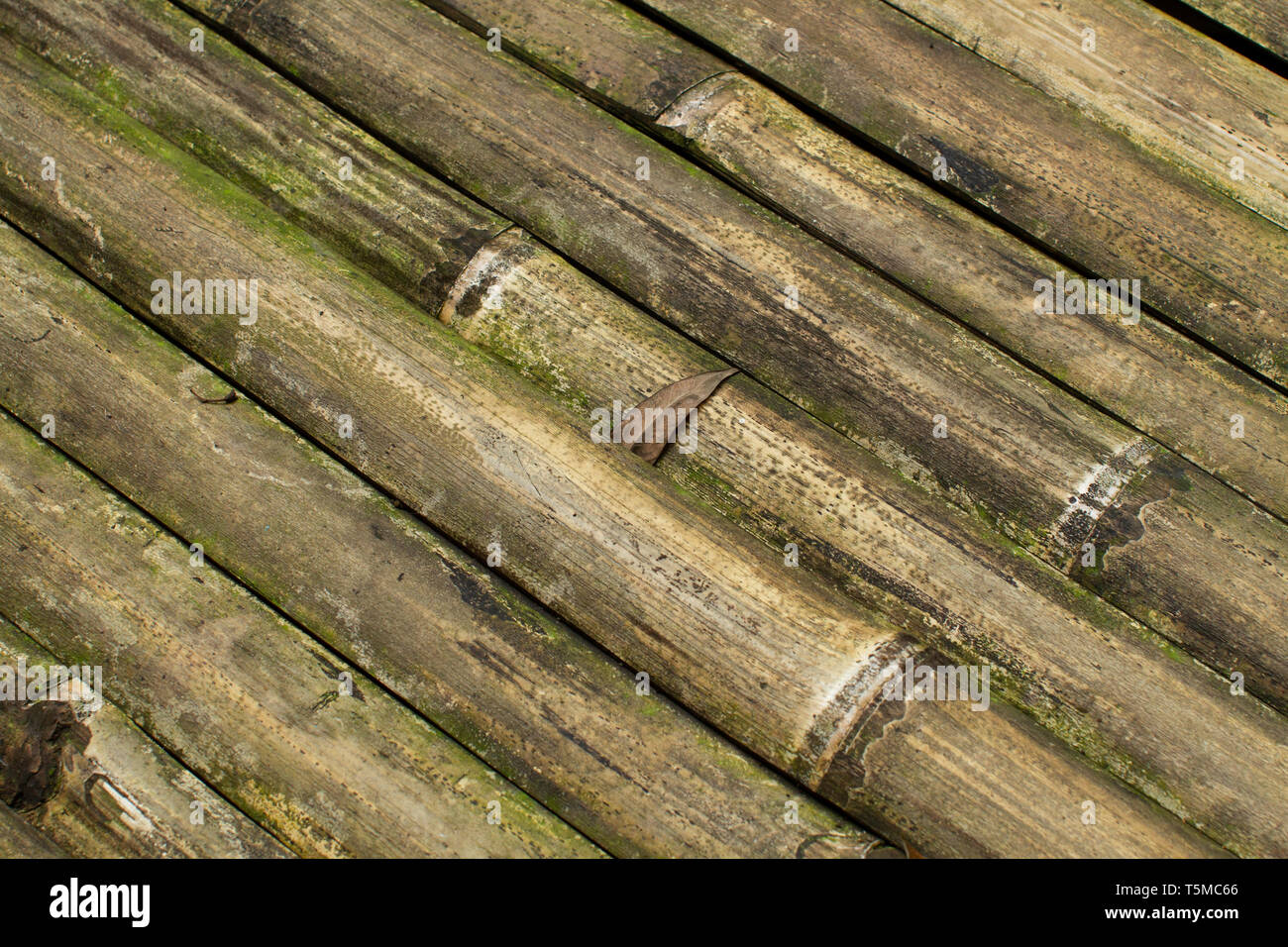 Ancienne table en bambou close-up shot Banque D'Images