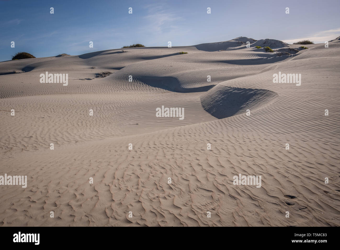 Les dunes de sable de l'île de Magdalena, Baja California Sur, au Mexique. Banque D'Images