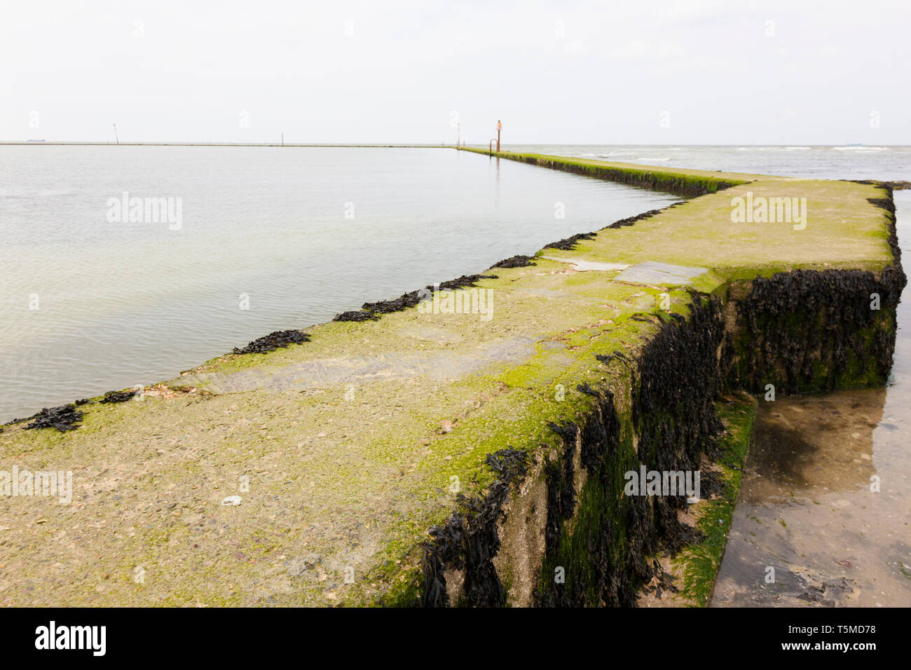 Bassin de baignade en mer à marée, Walpole Bay, près de Margate, Kent, UK Banque D'Images