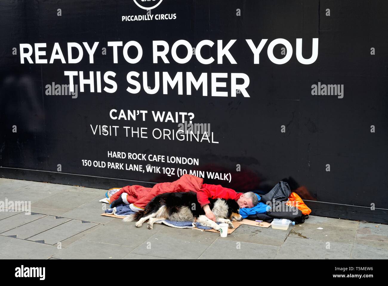 Un sdf et son chien dormir devant un panneau annonçant l'ouverture d'un nouveau Hard Rock Cafe de Piccadilly Circus London England UK Banque D'Images