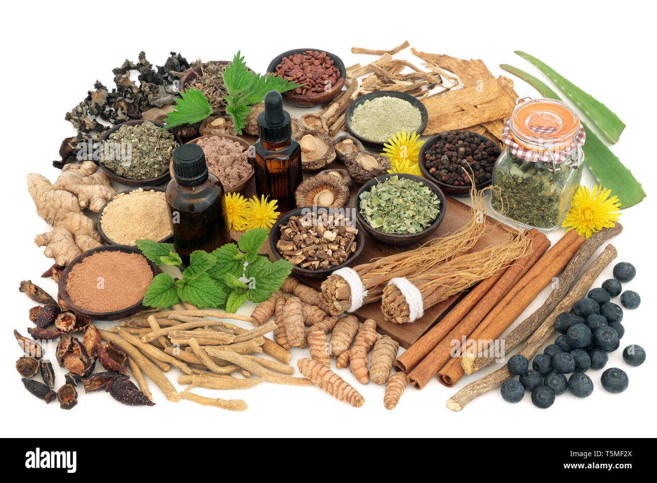 L'alimentation d'Adaptogen de fines herbes, d'épices, huile essentielle et compléter les poudres. Utilisé en phytothérapie pour aider le corps à résister aux effets nuisibles du stress. Banque D'Images