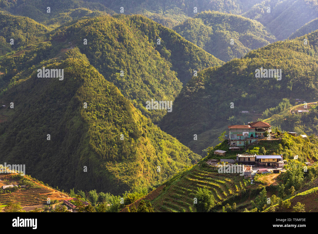 Vue panoramique de la vallée de SaPa Vietnam, Asie Banque D'Images