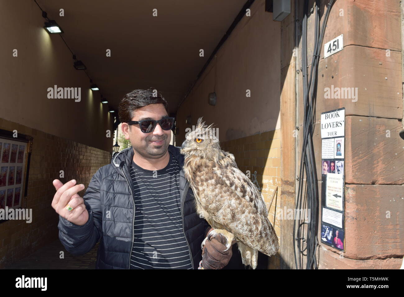 Owl et l'homme Banque D'Images