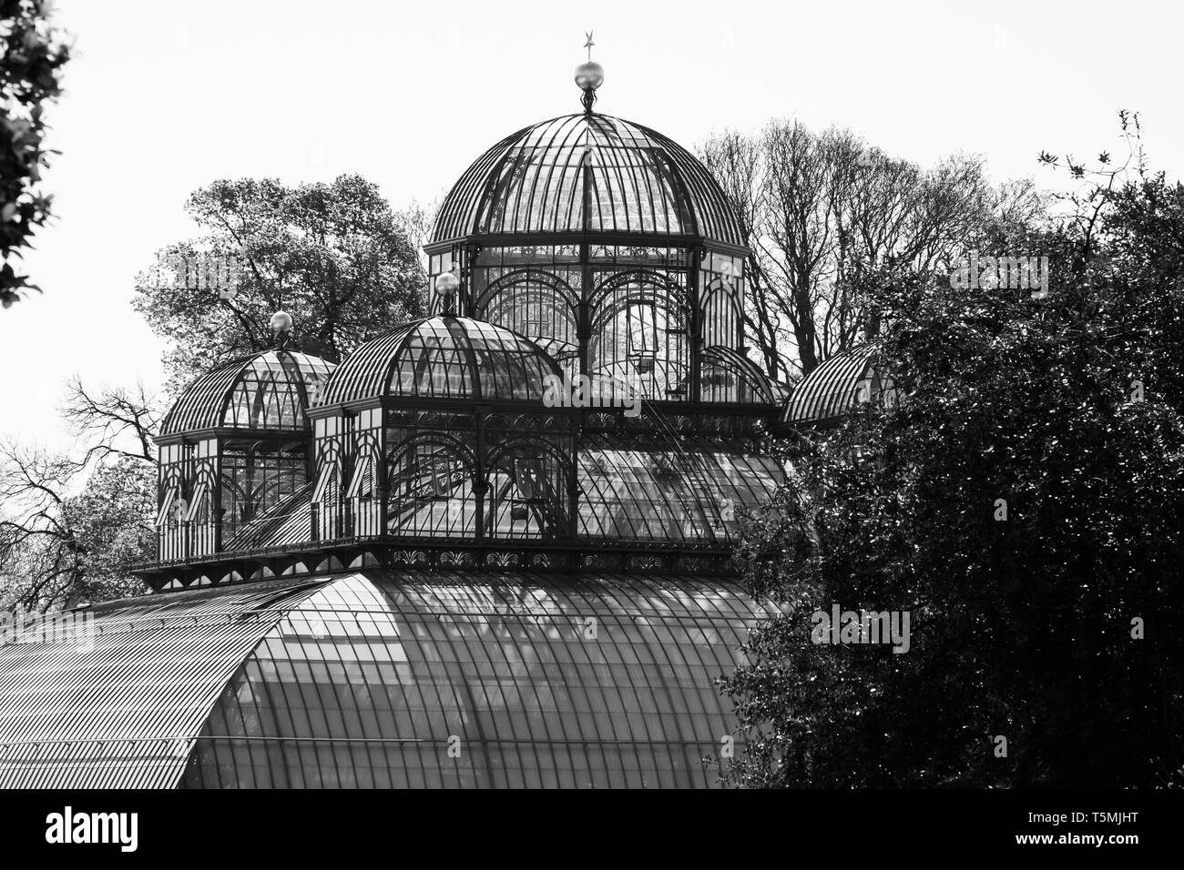 Les Serres Royales de Laeken, la maison de la famille royale belge, composée d'un complexe d'un certain nombre de serres y compris le Congo en serre. Banque D'Images