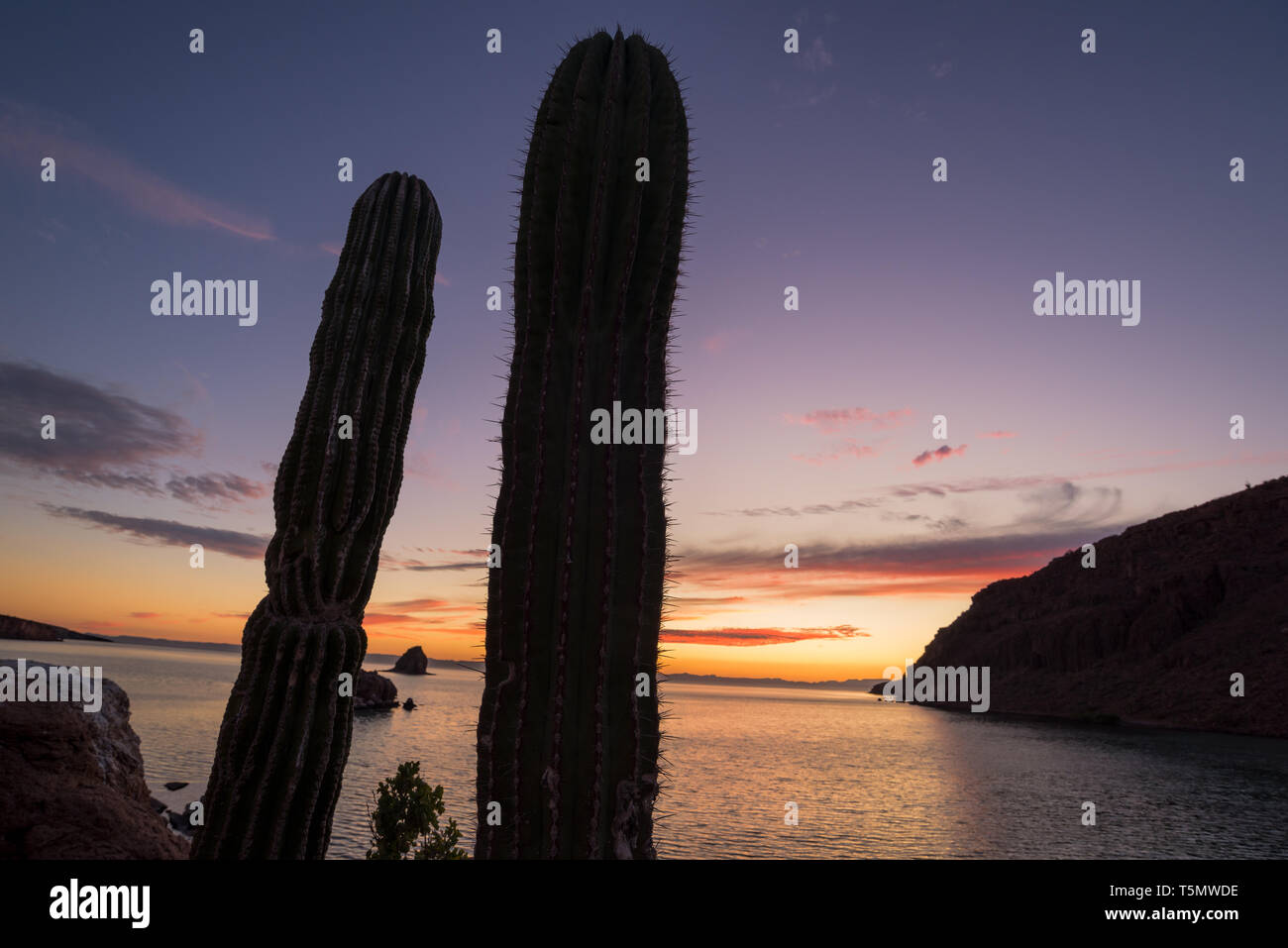 Le coucher du soleil, l'île d'Espiritu Santo, Baja California Sur, au Mexique. Banque D'Images