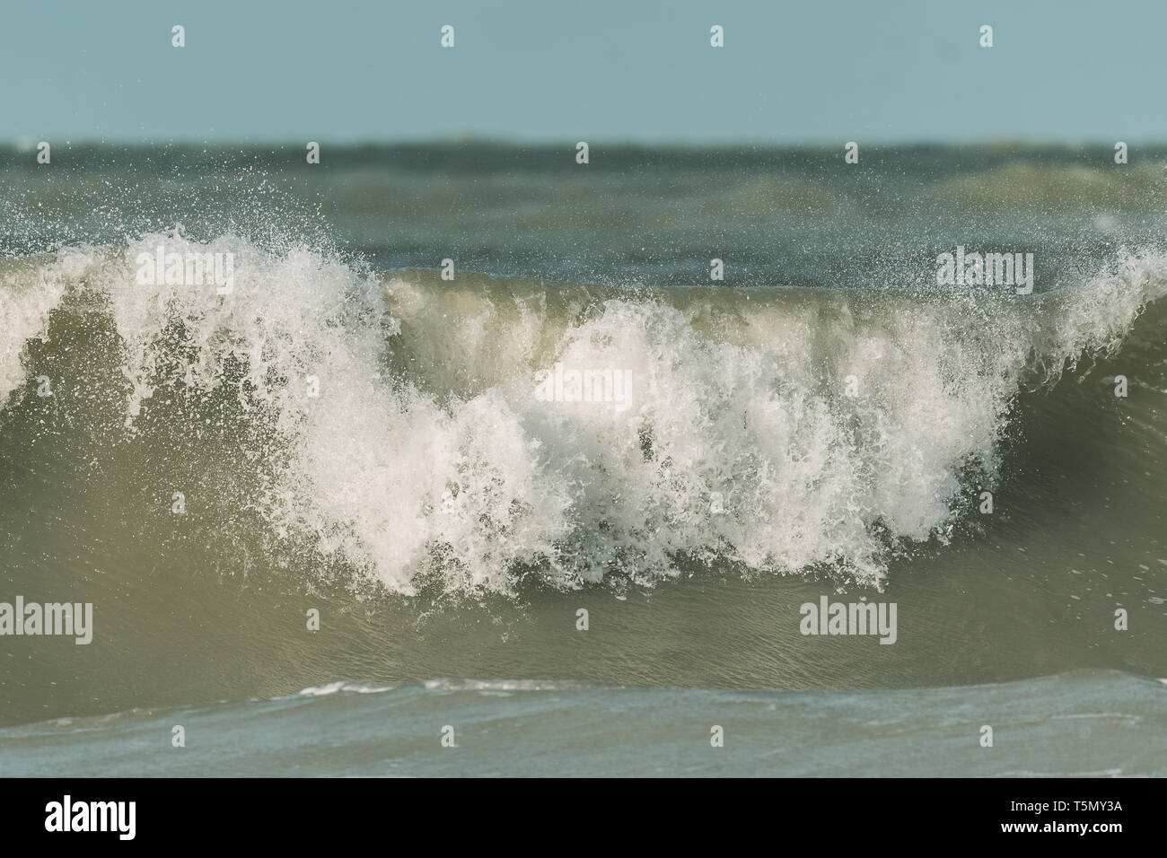 Grand fracas des vagues sur la plage en Floride Banque D'Images