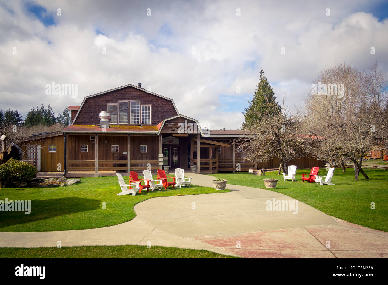 Chaises Adirondack en face du bâtiment principal de Merridale Cidrerie et distillerie à Cobble Hill, Cowichan Valley, British Columbia, Canada. Banque D'Images