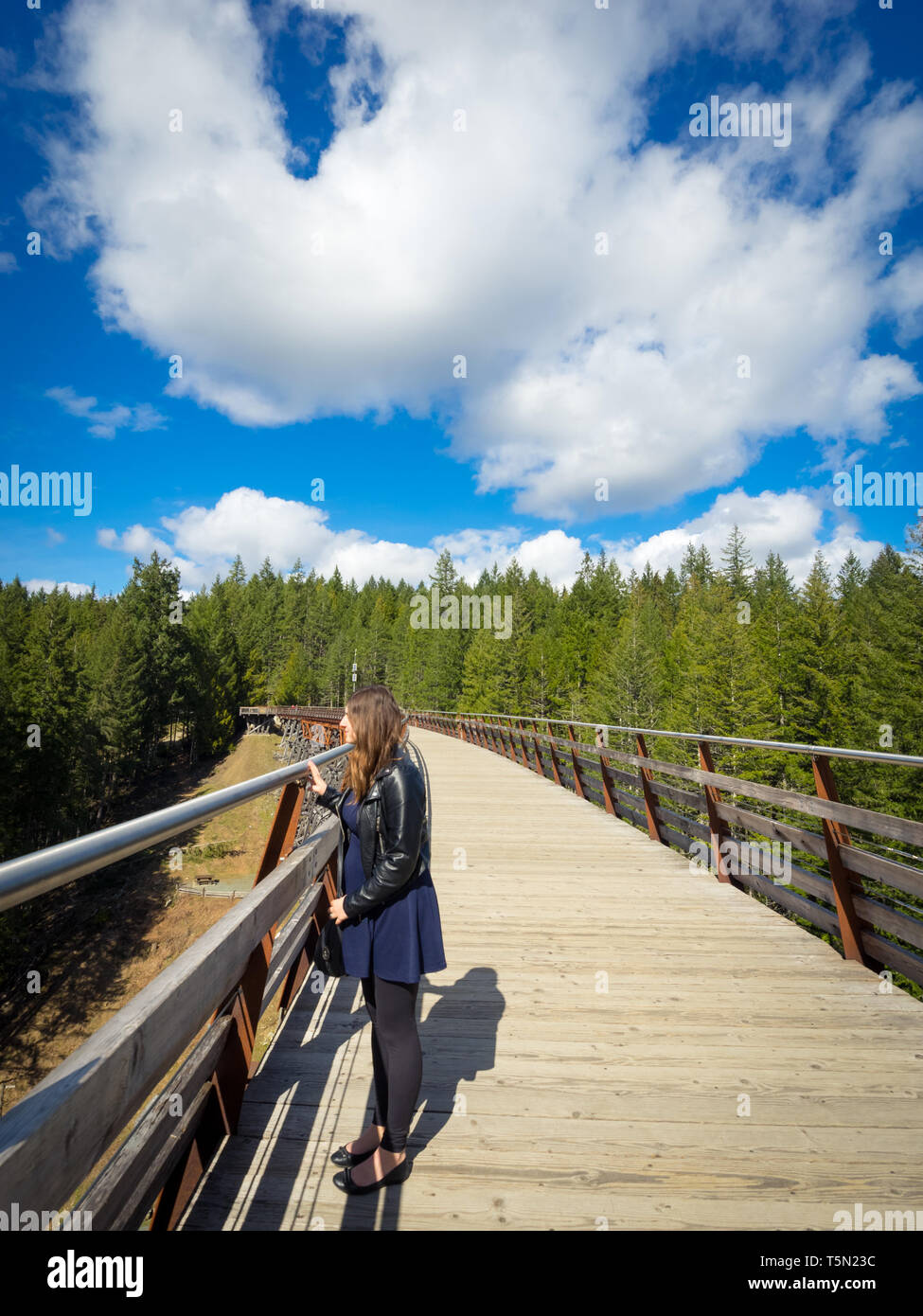 Une jolie fille brune donne du milieu du pont sur chevalets Kinsol dans la vallée de Cowichan, île de Vancouver, Colombie-Britannique, Canada. Banque D'Images