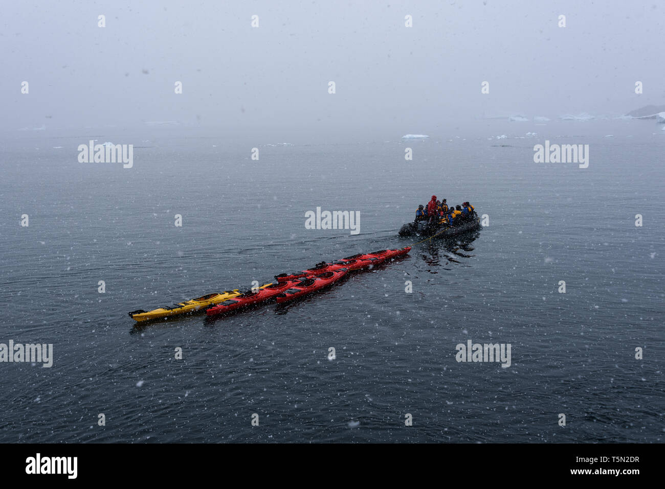 Bateau gonflable plein de touristes le remorquage kayaks de mer rouge et  jaune dans l'Antarctique, Paradise Bay Photo Stock - Alamy
