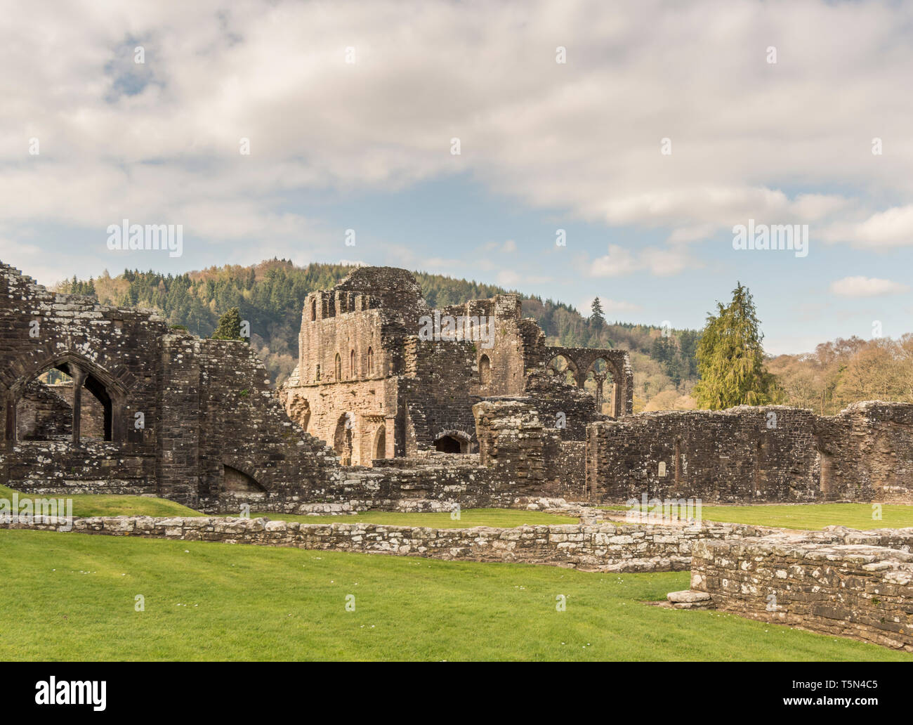 Les ruines restaurées de l'abbaye de Tintern, Monmouthshire, Wales, UK Banque D'Images